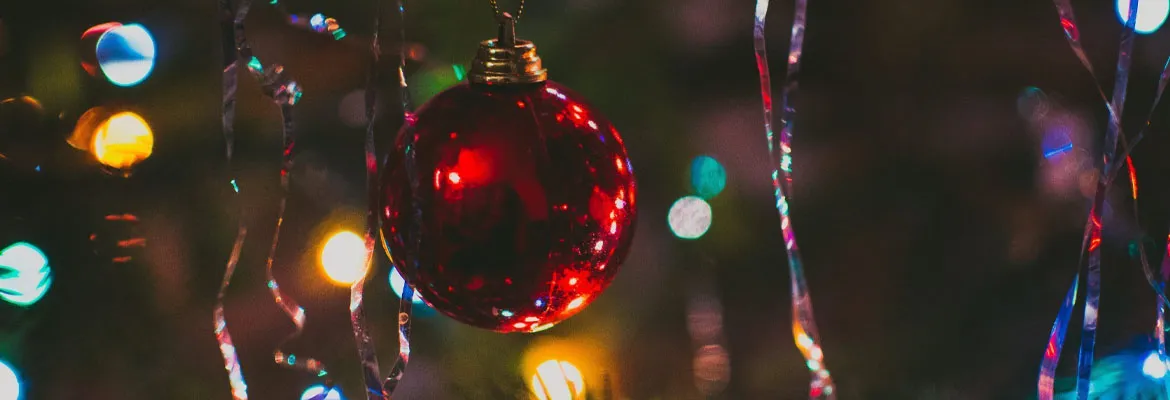 descubre
