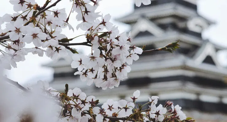 japon