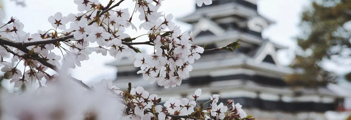 japon